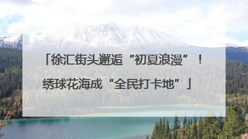徐汇街头邂逅“初夏浪漫”！绣球花海成“全民打卡地”