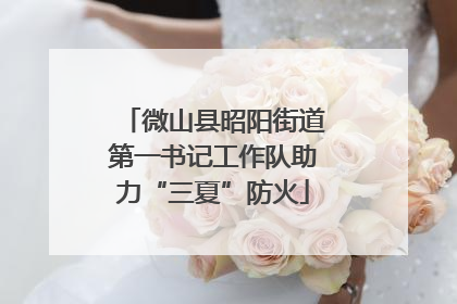 微山县昭阳街道第一书记工作队助力“三夏”防火
