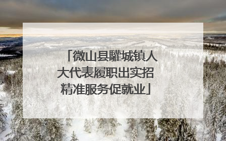 微山县驩城镇人大代表履职出实招精准服务促就业