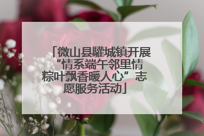微山县驩城镇开展“情系端午邻里情 粽叶飘香暖人心”志愿服务活动