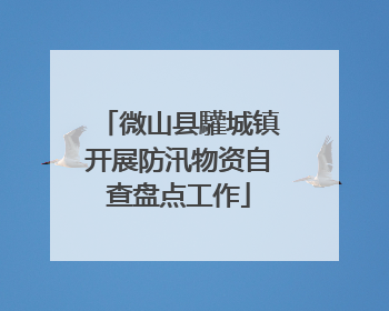 微山县驩城镇开展防汛物资自查盘点工作
