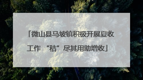 微山县马坡镇积极开展夏收工作 “秸”尽其用助增收