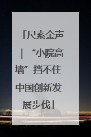 尺素金声｜“小院高墙”挡不住中国创新发展步伐