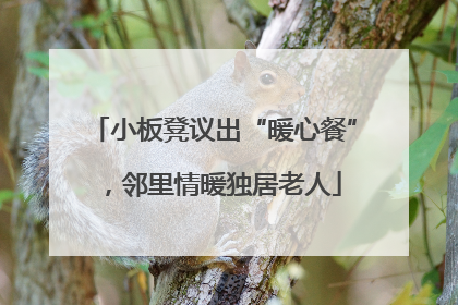 小板凳议出“暖心餐”，邻里情暖独居老人