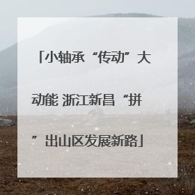 小轴承“传动”大动能 浙江新昌“拼”出山区发展新路