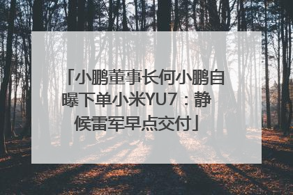 小鹏董事长何小鹏自曝下单小米YU7：静候雷军早点交付