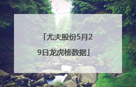 尤夫股份5月29日龙虎榜数据