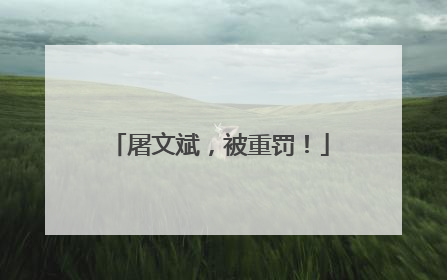 屠文斌，被重罚！