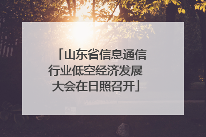 山东省信息通信行业低空经济发展大会在日照召开