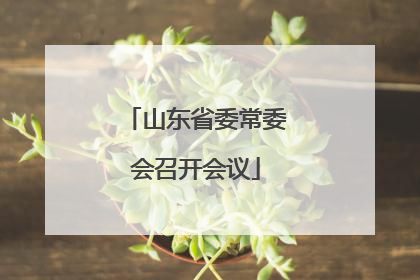 山东省委常委会召开会议