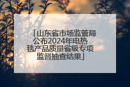 山东省市场监管局公布2024年电热毯产品质量省级专项监督抽查结果
