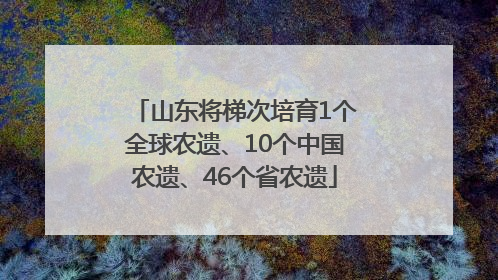 山东将梯次培育1个全球农遗、10个中国农遗、46个省农遗