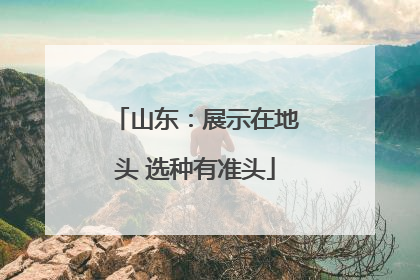山东：展示在地头 选种有准头