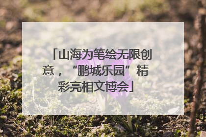 山海为笔绘无限创意，“鹏城乐园”精彩亮相文博会