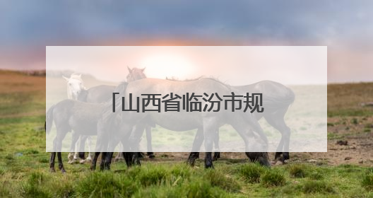 山西省临汾市规划和自然资源局党组召开会议
