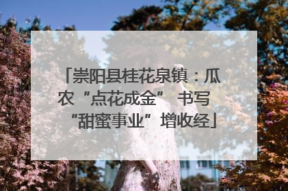 崇阳县桂花泉镇：瓜农“点花成金” 书写“甜蜜事业”增收经