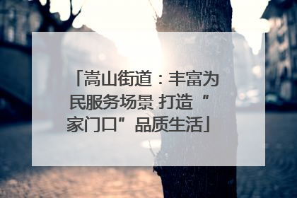 嵩山街道：丰富为民服务场景 打造“家门口”品质生活