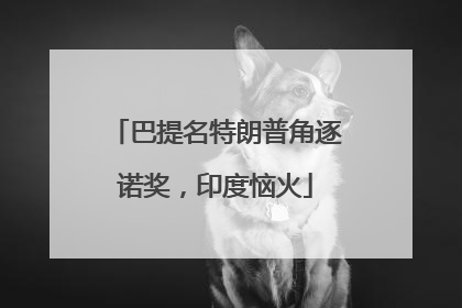 巴提名特朗普角逐诺奖，印度恼火