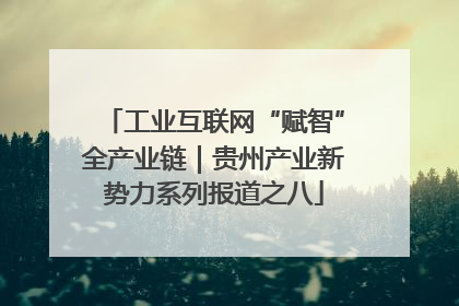 工业互联网“赋智”全产业链｜贵州产业新势力系列报道之八