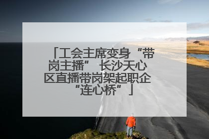 工会主席变身“带岗主播” 长沙天心区直播带岗架起职企“连心桥”