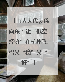 市人大代表徐向东：让“低空经济”在杭州飞得又“稳”又“好”