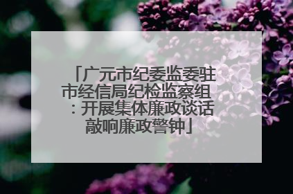 广元市纪委监委驻市经信局纪检监察组：开展集体廉政谈话 敲响廉政警钟