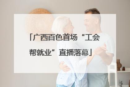 广西百色首场“工会帮就业”直播落幕
