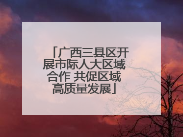 广西三县区开展市际人大区域合作 共促区域高质量发展