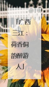 广西三江：荷香侗韵醉游人