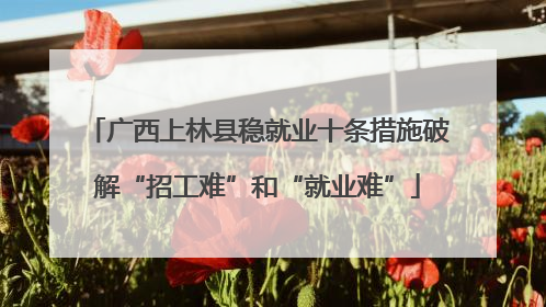 广西上林县稳就业十条措施破解“招工难”和“就业难”