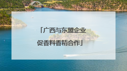 广西与东盟企业促香料香精合作