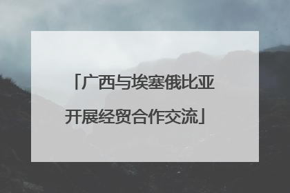 广西与埃塞俄比亚开展经贸合作交流