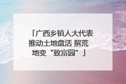 广西乡镇人大代表推动土地盘活 撂荒地变“致富园”