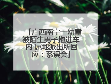 广西南宁一幼童被陌生男子抱进车内 属地派出所回应：系误会