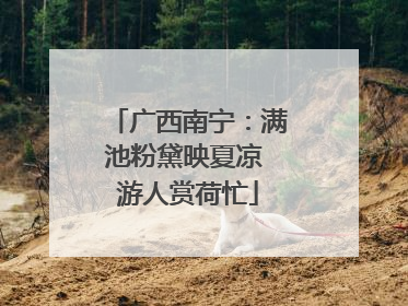 广西南宁：满池粉黛映夏凉 游人赏荷忙