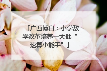 广西博白：小学数学改革培养一大批“速算小能手”