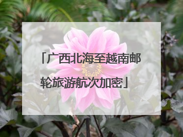 广西北海至越南邮轮旅游航次加密