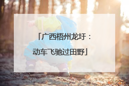 广西梧州龙圩：动车飞驰过田野