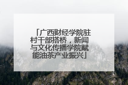 广西财经学院驻村干部搭桥，新闻与文化传播学院赋能油茶产业振兴