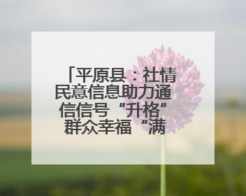 平原县：社情民意信息助力通信信号“升格” 群众幸福“满格”