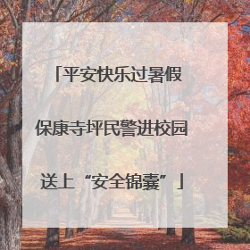 平安快乐过暑假 保康寺坪民警进校园送上“安全锦囊”