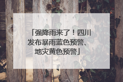 强降雨来了！四川发布暴雨蓝色预警、地灾黄色预警