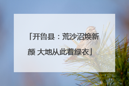 开鲁县：荒沙沼焕新颜 大地从此着绿衣