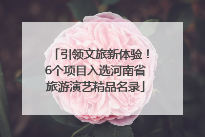 引领文旅新体验！6个项目入选河南省旅游演艺精品名录