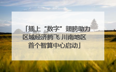 插上“数字”翅膀助力区域经济腾飞 川南地区首个智算中心启动