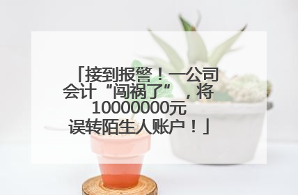 接到报警！一公司会计“闯祸了”，将10000000元误转陌生人账户！