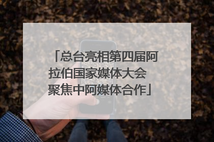 总台亮相第四届阿拉伯国家媒体大会 聚焦中阿媒体合作