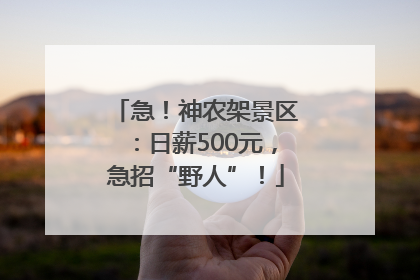 急！神农架景区：日薪500元，急招“野人”！