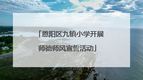 恩阳区九镇小学开展师德师风宣誓活动