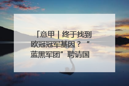 意甲｜终于找到欧冠冠军基因？“蓝黑军团”聘请国米名宿齐沃执教